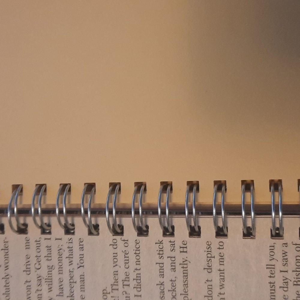 Secret Journal "Les Miserables" 📚 Handmade Journal from an old book - Picture 4 of 7